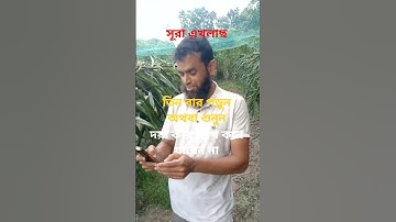 #egzonibrahimi #سورة_الإخلاص #ikhlas #সব #অটোমোবাইল @abuhanif82 # তিন বার পড়ুন অথবা শুনুন!👈👈👈