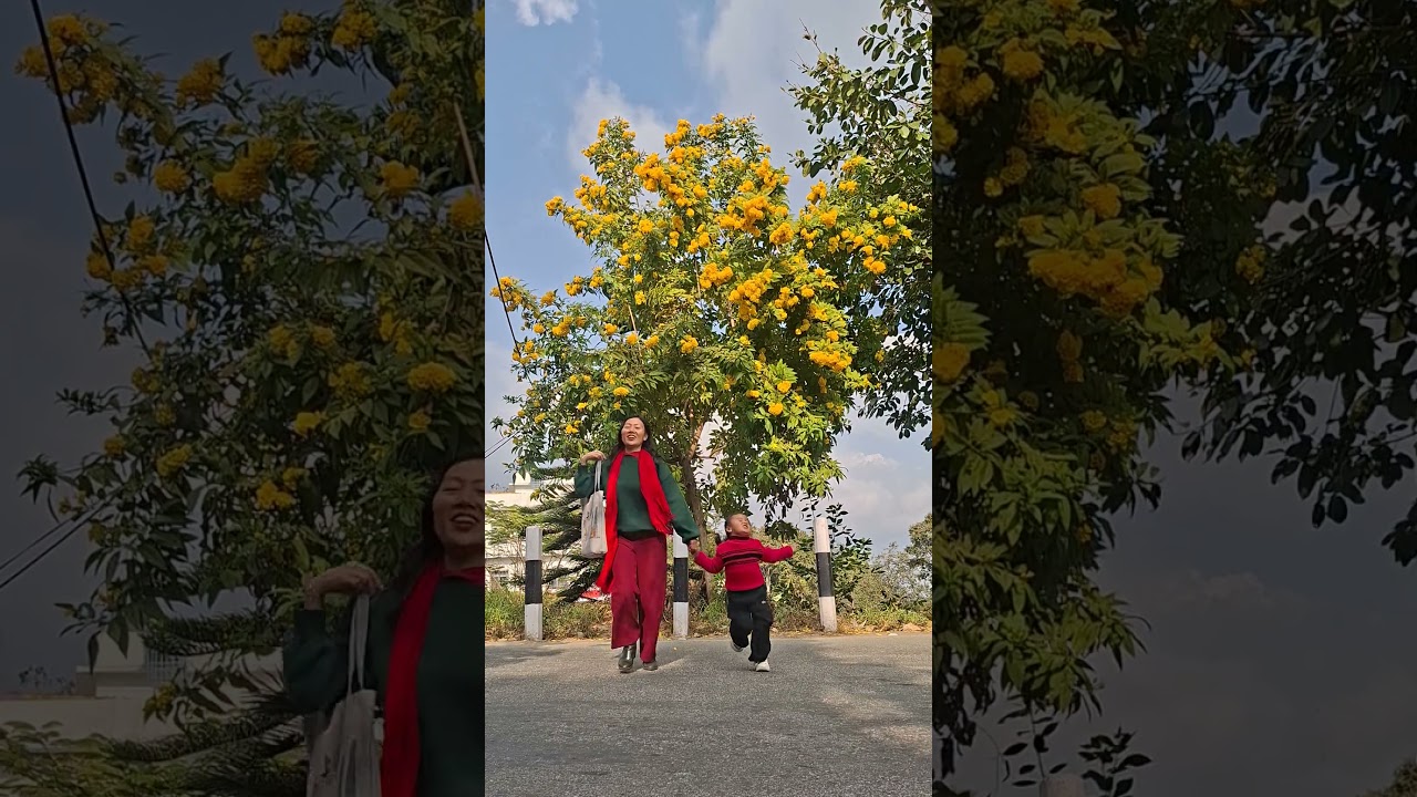 Dilma Thau Chha || BEHULI Nepali Movie Song 2026 | Cool Boy | Divya Rayamajhi #newsong #nepalimusic