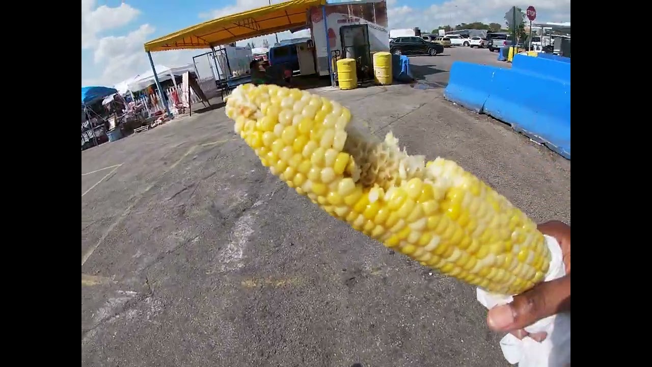 Tour of Opa Locka Hialeah Flea Market in Miami Gardens FL