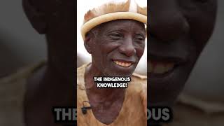 Advice From A Wise Tribesman