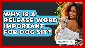 Why Is A Release Word Important For Dog Sit? - Obedient Dog Guide
