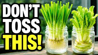 25 Kitchen Scraps You Should Never Throw Away — They Regrow Free Food