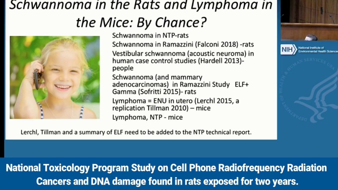 Comments On National Toxicology Program Study On Cell Phone Radiation 