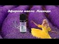 Эфирное масло Лаванда  Lavandula officinalis Chaix  Швейцарское качество