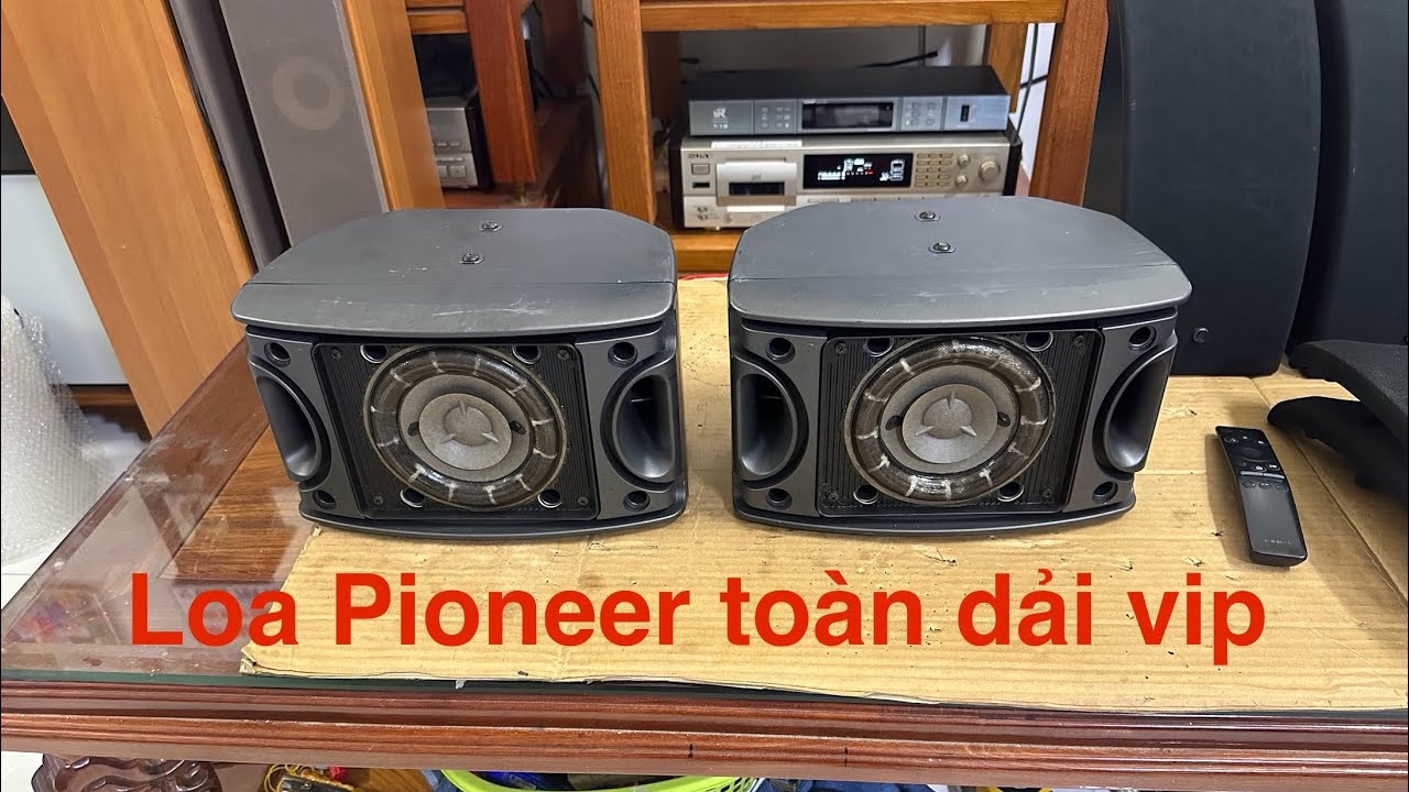 Pioneer CS-V30-LR CS-G303 公式通販 品 パイオニア スピーカーペア