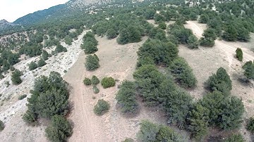 New hyperlow vert frestyle v2