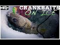 The evolution of lipless crankbaits in ice fishing