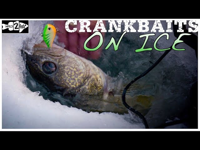 Ultra Light Crankbaits For Panfish Ft. Tony Roach