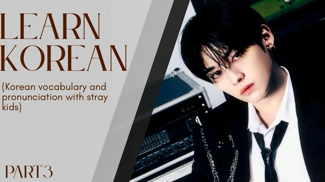 Stray Kids MANIAC Korean Lesson | Learn Korean with K-Pop – Part 3