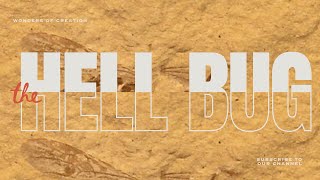 Hell Bug. The Oldest Ant, 113 Million Years Old, Was Discovered In Brazil