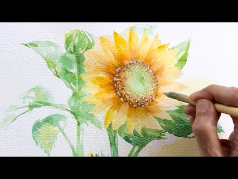 ひまわりとアゲラタム　水彩画 水彩画]開き始めたヒマワリの花を描く/watercolorpainting/制作