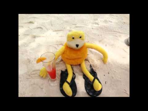 Flat Eric goes on Honeymoon