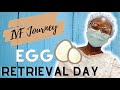 IVF Journey Part 4 | Egg Retrieval Day!