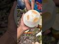이 과일 방글라데시의 마을에서만 있습니￼￼다 그래서 도시에서 큰 수요가 있어요 이거 한 개 한국 돈으로 500원입니다#외국인사람 #과일 #과일자르기