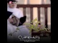 اللهم ارحمه رحمة تجيره من النار وتدخله الجنه اللهم نور عليه قبره وآنسه في وحدته ووحشته اللهم ارحمه رحمة تجيره من النار وتدخله الجنه اللهم نور عليه قبره وآنسه في وحدته ووحشته
