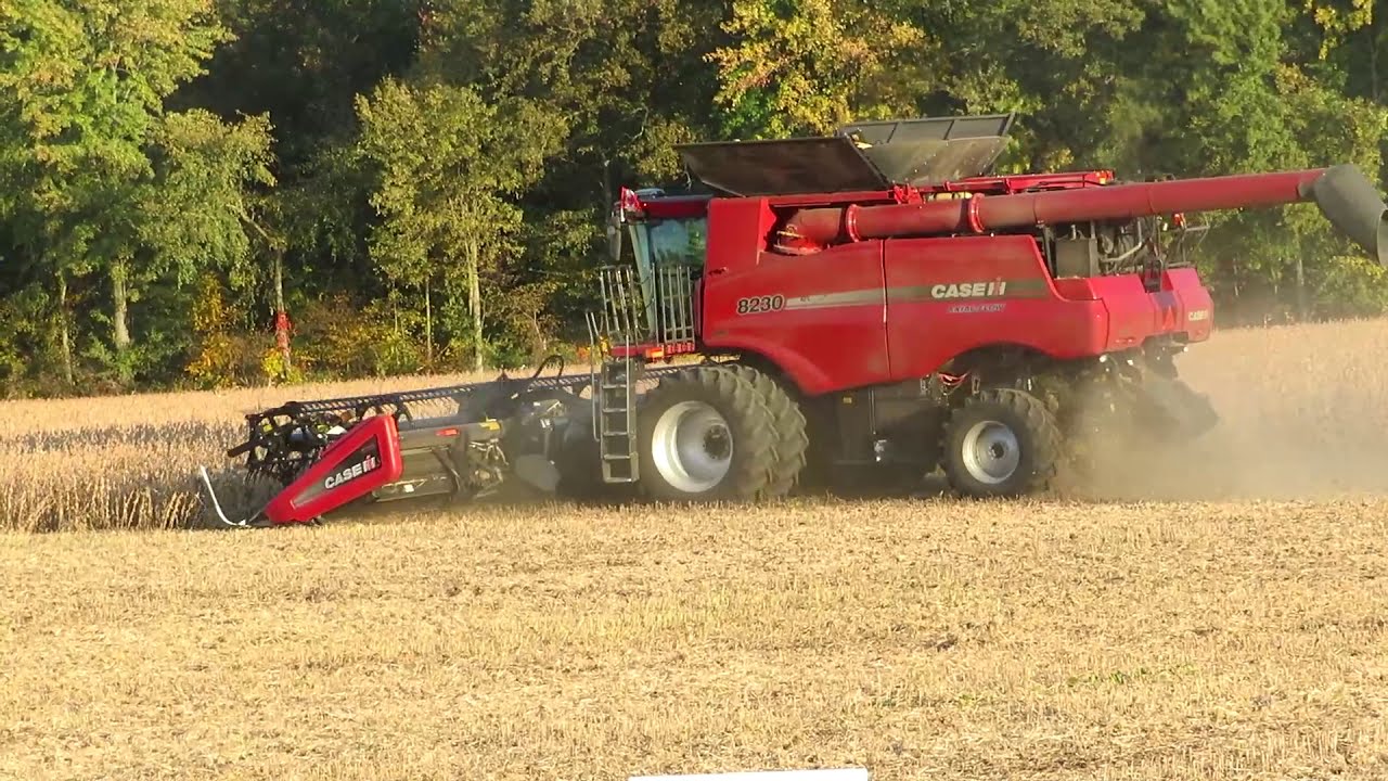 Harvest 2020 Case IH Axial Flow 8230 Combine Harvesting Soybeans