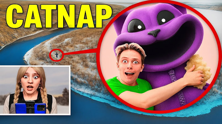 MY DRONE CAUGHT CATNAP IN REAL LIFE — THEN WE LOST SIGNAL!