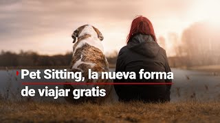 #PetSitting,la nueva forma de viajar por el mundo siento ¿niñero de mascotas?