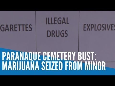 Paranaque cemetery bust: Marijuana seized from minor
