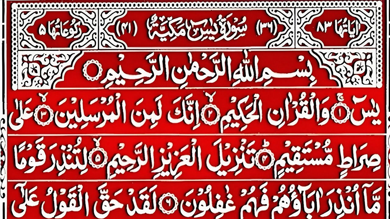 Surah Yasin Surah Rahman | Beautiful Recitation Surah Yaseen Surah Rahman Full | Quran Tilawat | 176