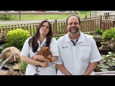 Riverbend Pet Hospital is excited about Rivertown Days - YouTube