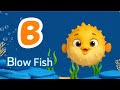 Marine Animal alphabet, shape song & other | Nursery Rhymes & Kids Song | abc song @abclearnkid