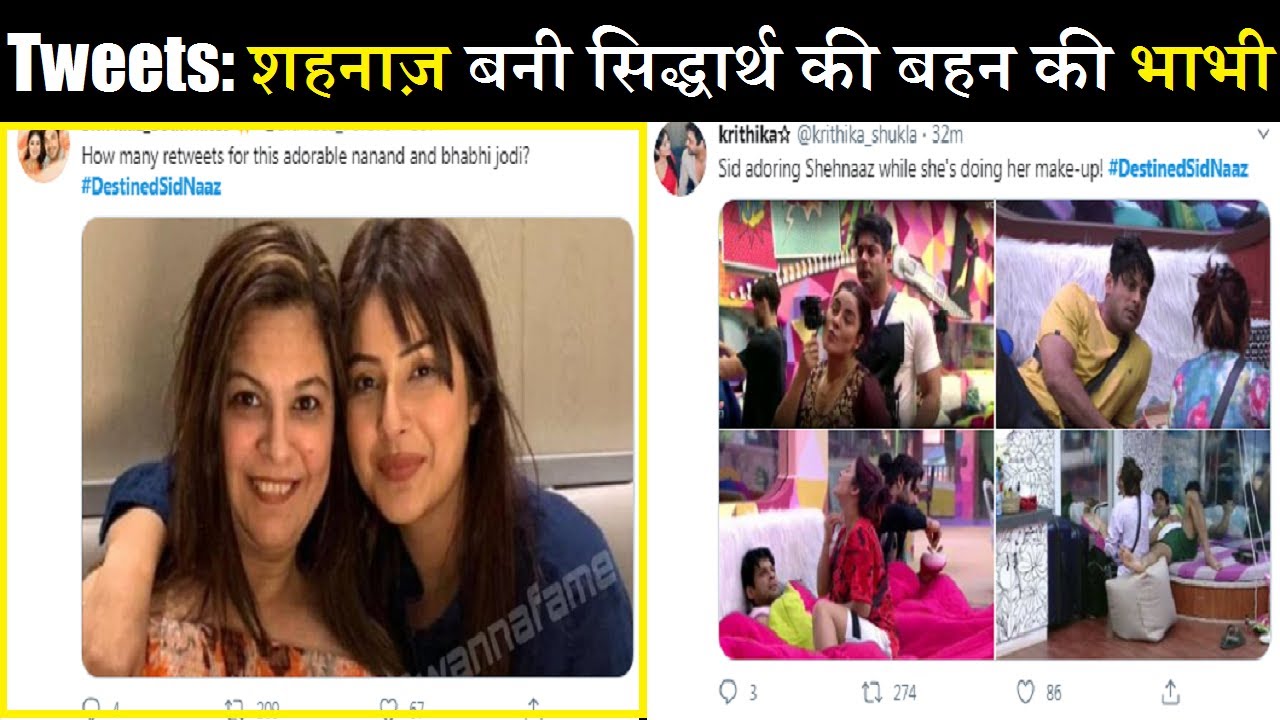 Hillarious Tweets From Sidnaaz Record| Fan's Epic Reaction| #DestinedSidnaaz| Final Cut News