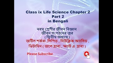 নবম শ্রেণীর জীবন বিজ্ঞান,জীবন সংগঠনের স্তর দ্বিতীয় অধ্যায় WBBSE Class 9 Life Science Chapter 2 Prt 2