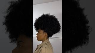 Afro puff #hairstyle #naturalhair #haircare