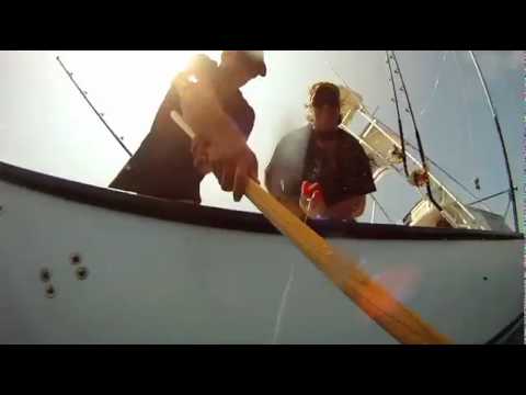 Salty Dog Season 2 Promo