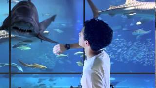 Interactive Screen Sharks attack