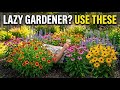 Too Lazy to Garden? These 20 Perennials Practically Grow Themselves