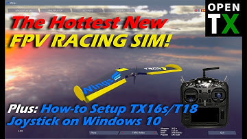How to Set Up Radio (TX16s/T18) Joystick on Windows 10 to work with the Hottest New Simulator: Wings