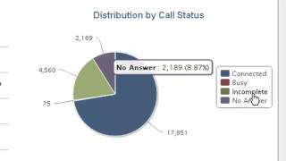 CallView360 Demo
