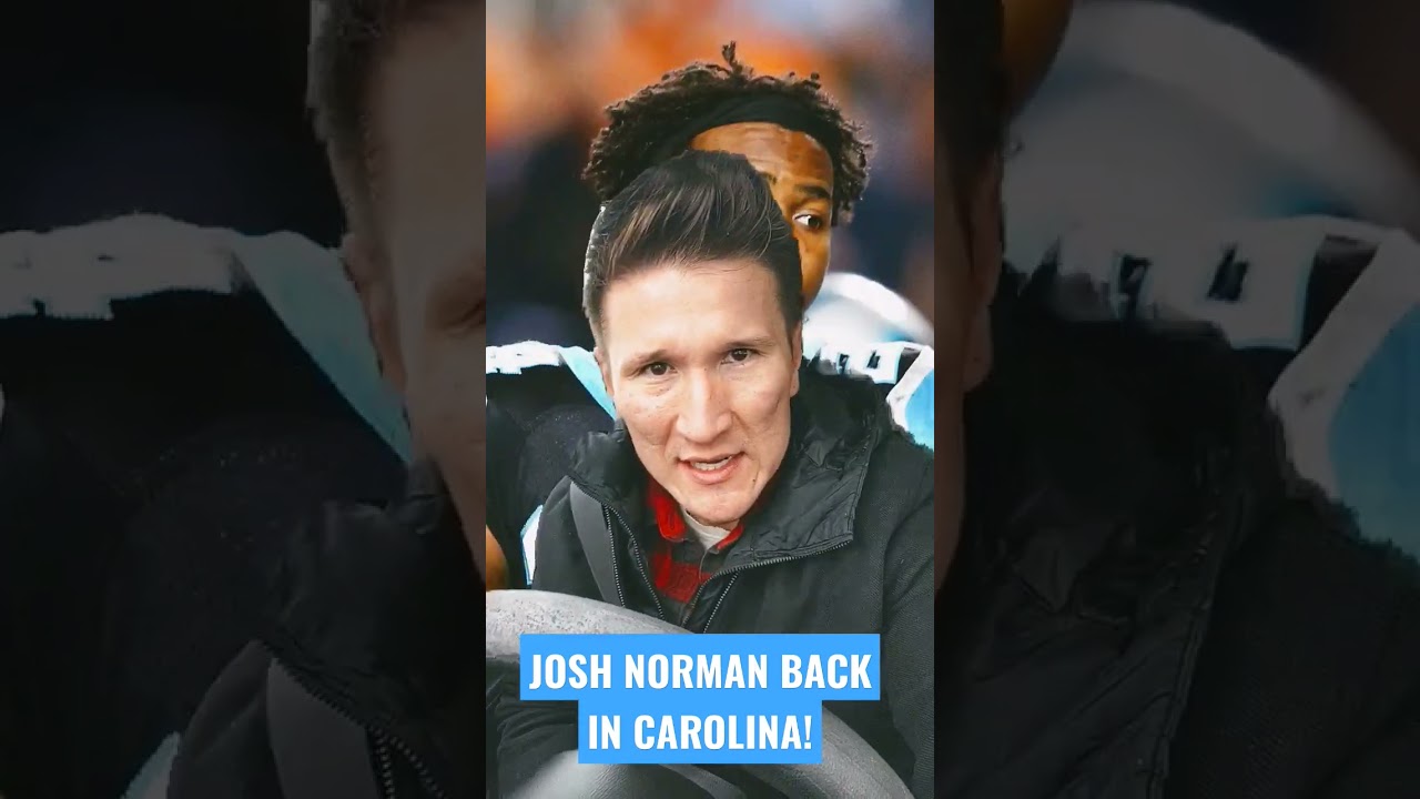 🔥🚨2015 Panthers vibe 