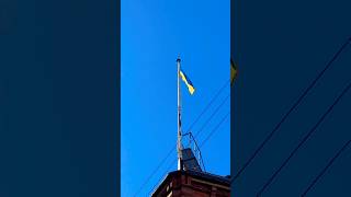 #copenhagen #denmark #travel #vlog #shorts #viral #explore #europe #cityvibes #wanderlust #trip