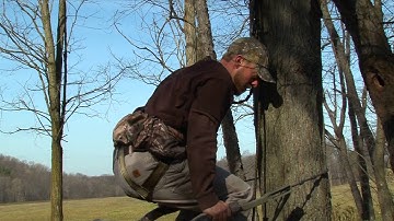 Climbing safely using your Hunter Safety System Rope Style Tree Strap