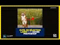 outil de sélection lasso #photoshop  #shorts