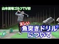 【お待たせ!!】山本道場ゴルフTV初!これが魚突きドリルの詳細だ👍①