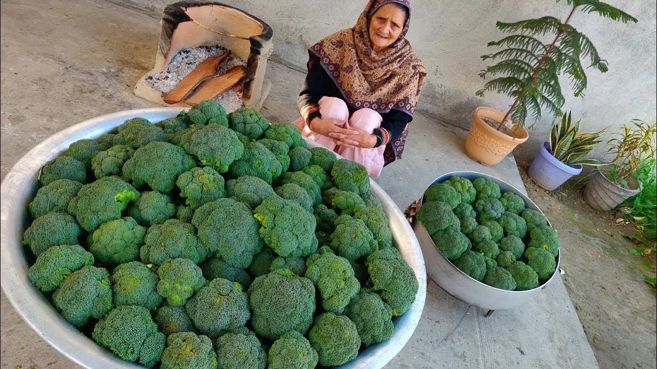 BROCCOLI RECIPE BY MY GRANNY | INDIAN STYLE | VILLAGE FOOD | VILLAGE COOKING | SABJI RECIPE