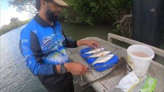 Logan River Fishing 2023 by bashir k 1,681 views 1 year ago 4 minutes, 30 seconds