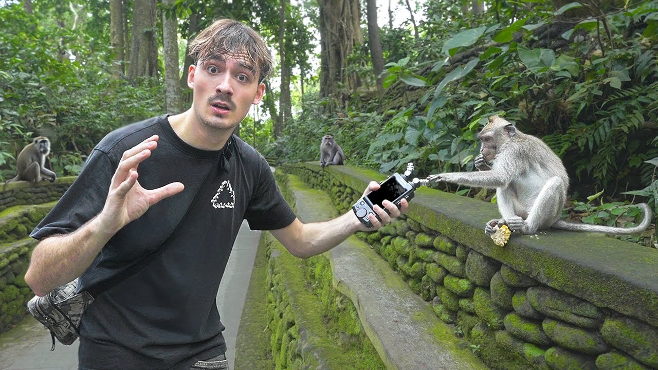 ASMR WITH MONKEYS 🐒