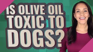 Is olive oil toxic to dogs?