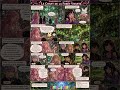 Chapitre 151 Partie 2 Le Chant de la Forêt Vivante/@keke._.garcia