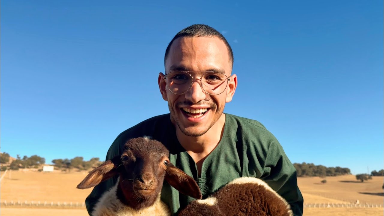 Mon élevage de moutons au Maroc