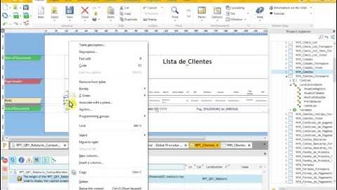 Windev 21 - Linha Zebrada Relatórios