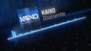 Kaixo - Disassemble