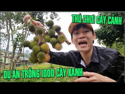 Video 1 Ngày Bình Thường Của YTB Nghèo Nhất Ngọc Rồng...Bỏ... - youtube