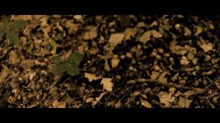 Vignette de la vidéo "Big Scary - Autumn *Official Video* (The Big Scary Four Seasons EPs | 2010)"