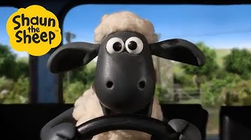 😱 Shaun the Sheep SCARY Moments Compilation 😱 | #Halloween